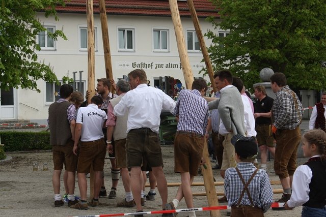 Maibaum 2013